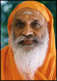 Swami Dayananda, Manali Ashram