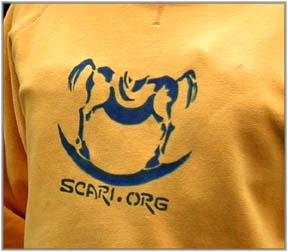 Scari Logo 